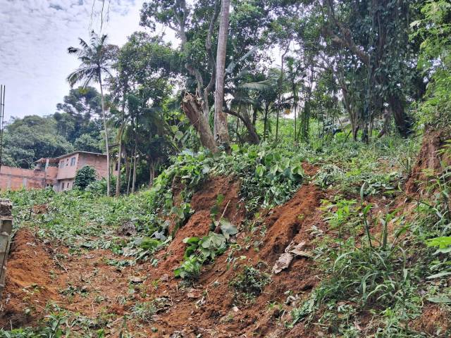 #202 - Área para Venda em São Paulo - SP - 3